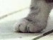 Галина Горская | Красноярск