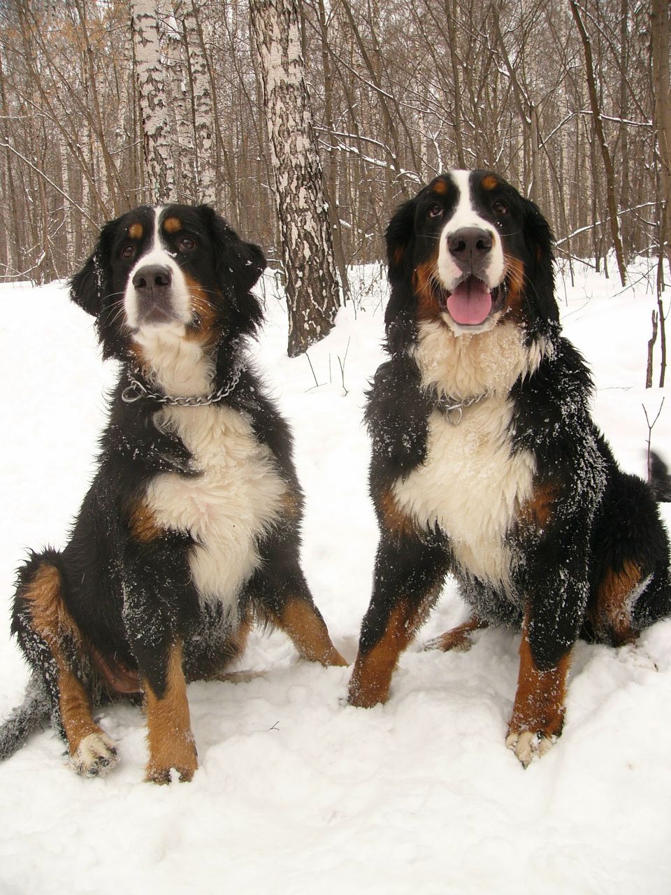 Виктория Муретова | Москва