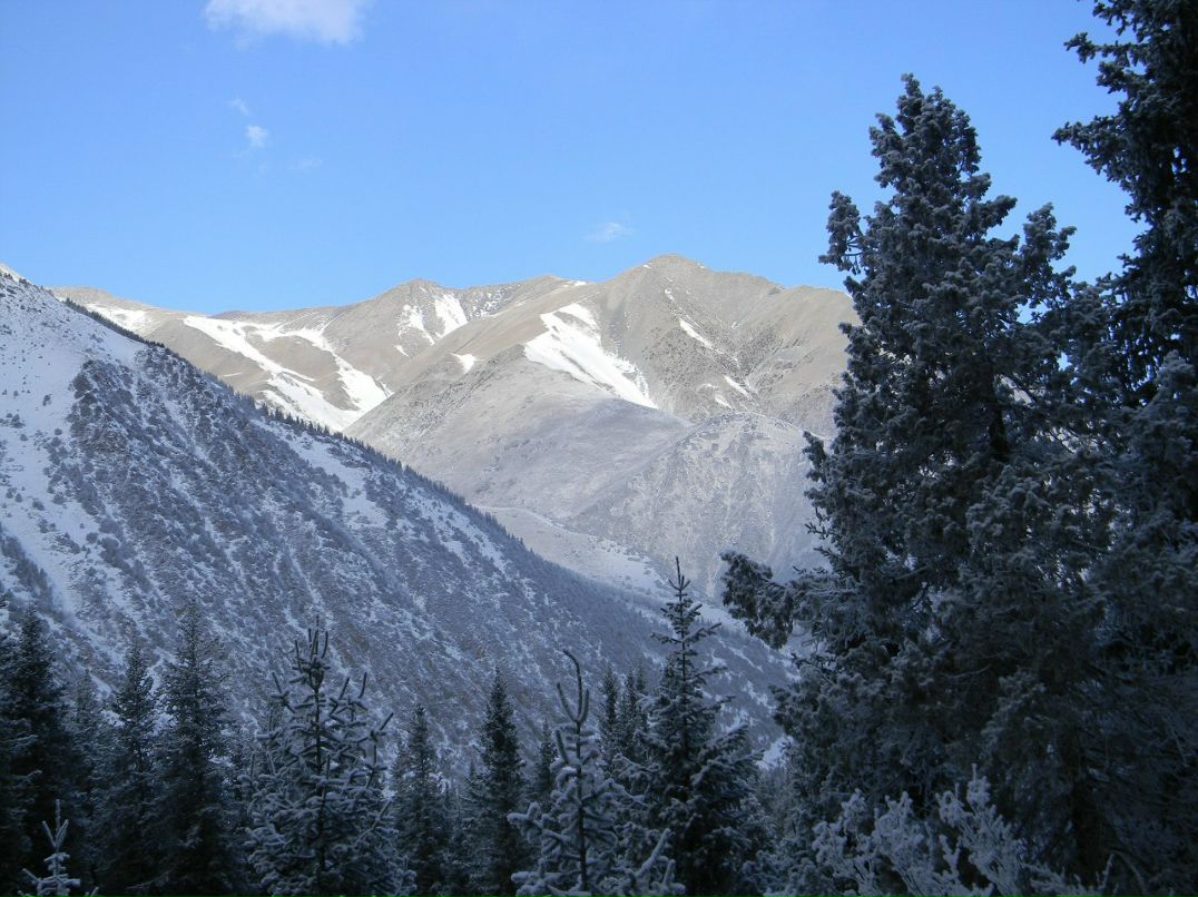 Паша Цветов | 