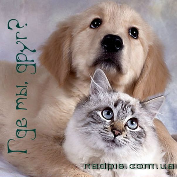 №78, Юлия Токан, Сумы №78, Юлия Токан, Сумы