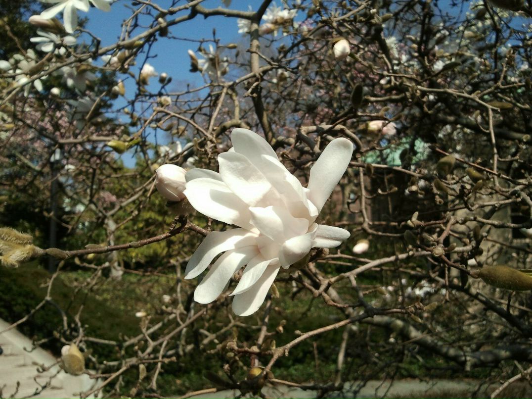 Игорь Панов | Santo Domingo