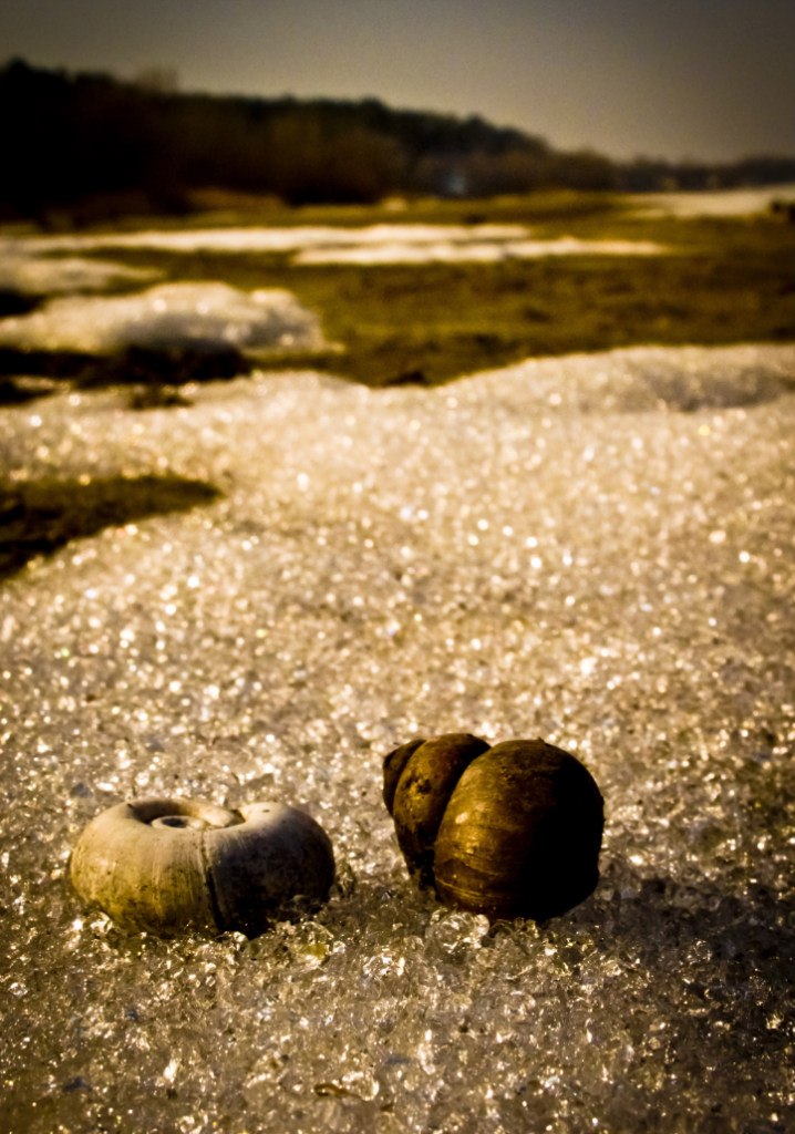 Мария Белан | Черкассы