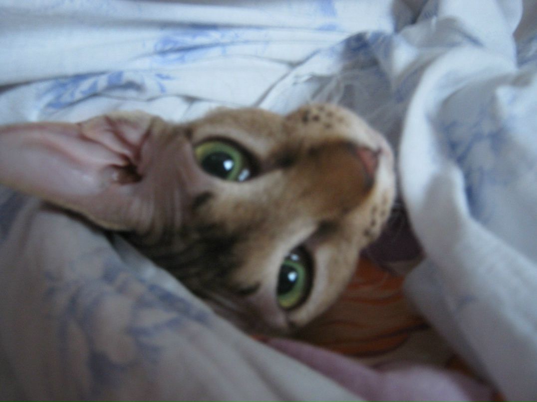 Наталья Загуляева | 