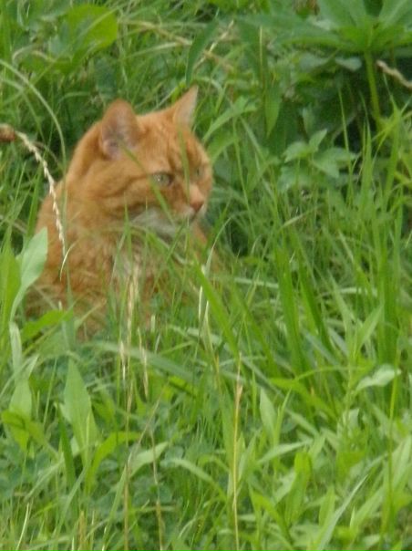 №19, Дарья Стрелолист №19, Дарья Стрелолист