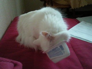 Мария Петрова-Прыгунова | Тюмень