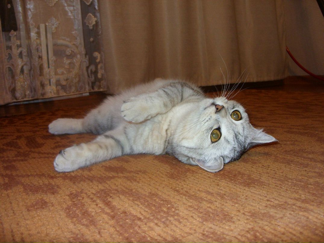 Екатерина Чеботаева | Кирово-Чепецк