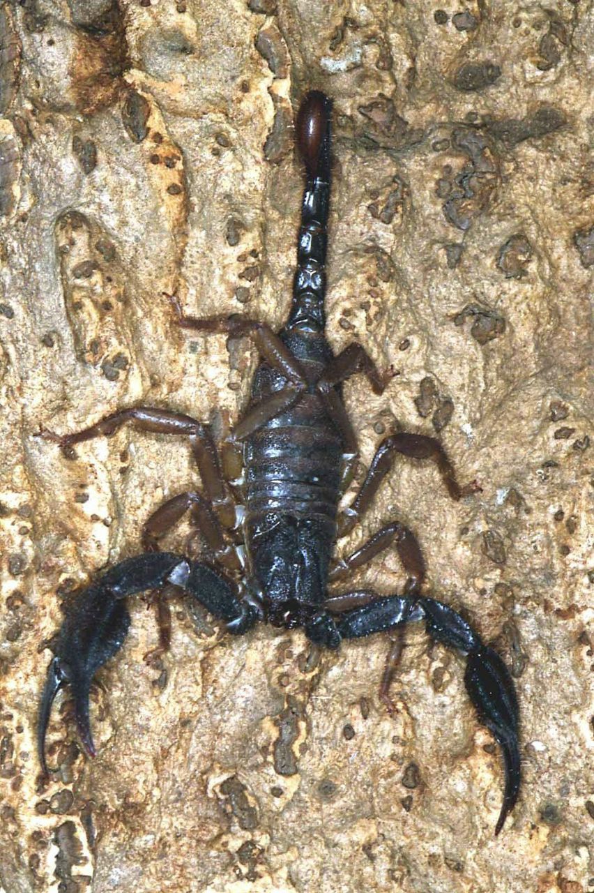 Михаил Андреев | Одесса