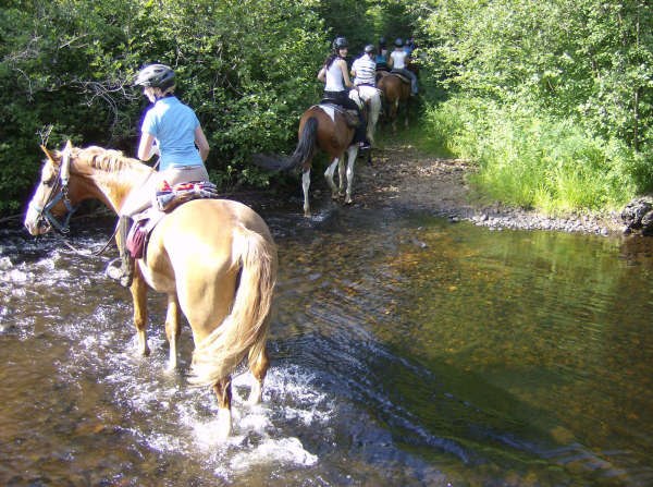 Сергей Сидоренко | Toronto