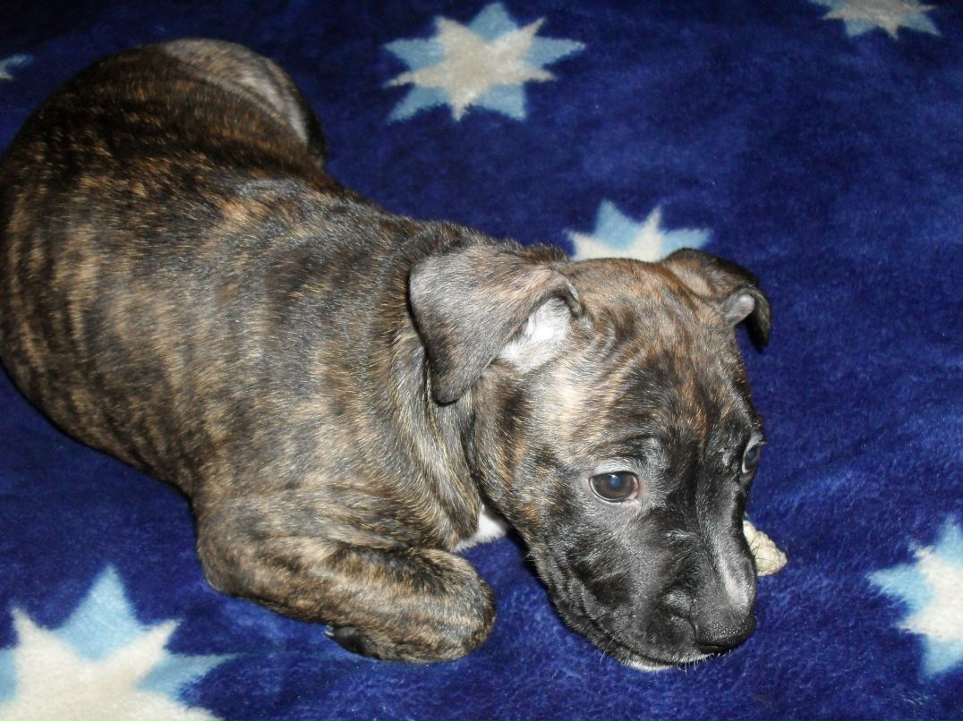 Олег Моисеев | Санкт-Петербург