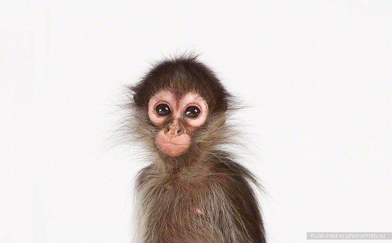 Андрей Л-В | Тверь