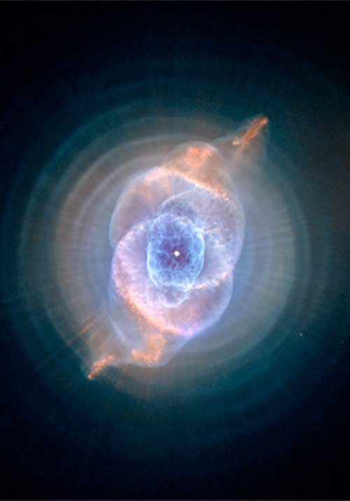 Кристина Ботанова-Хулиганова | 