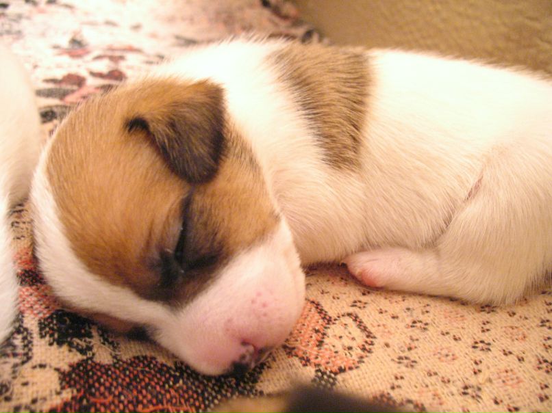 Полина Конакова | Москва