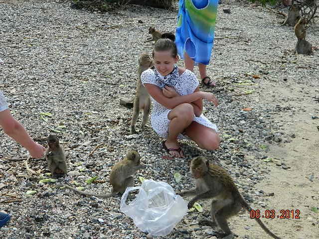 Евгения Новикова | Тула