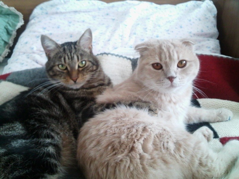 Elijah Banks | Нарва