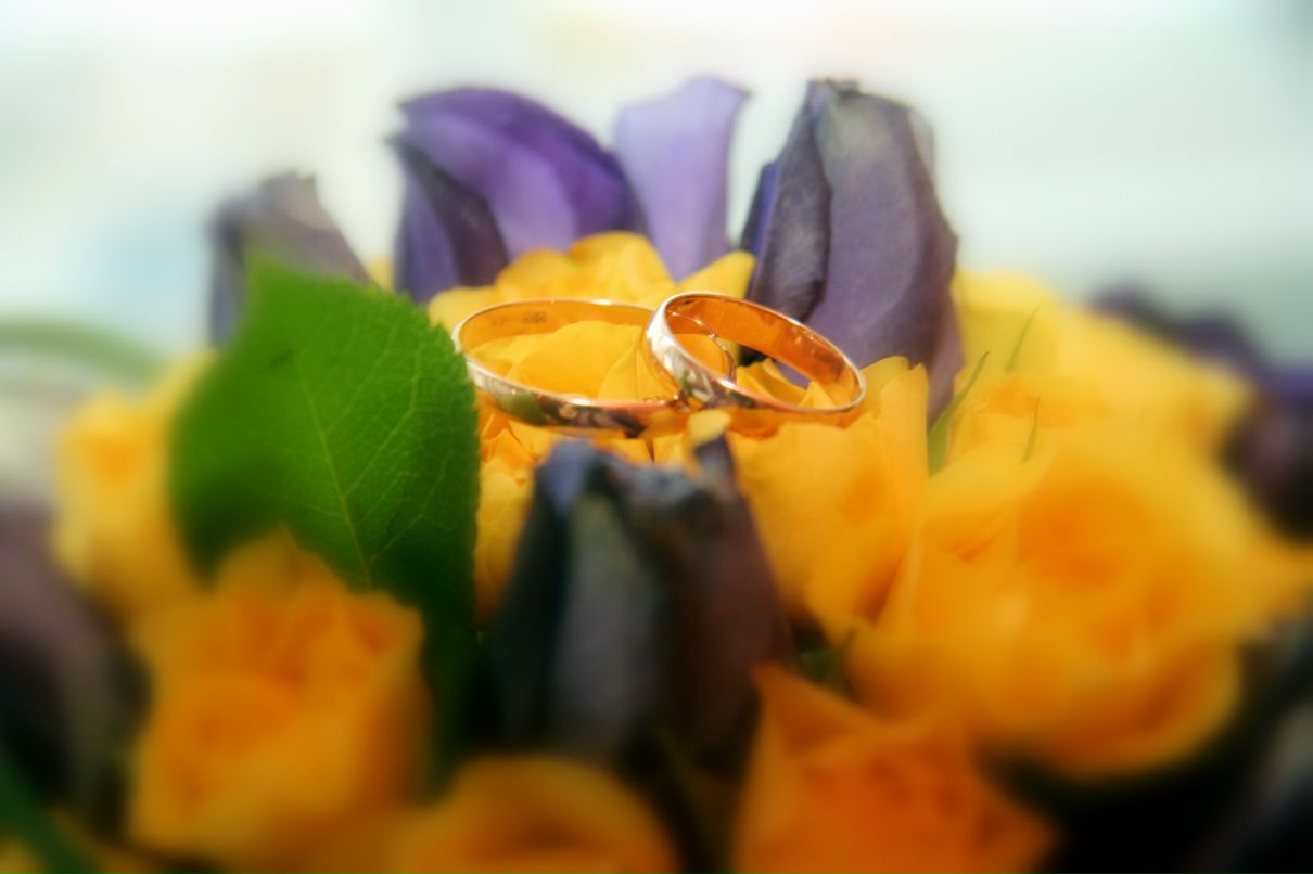 Антон Козлов | Ульяновск