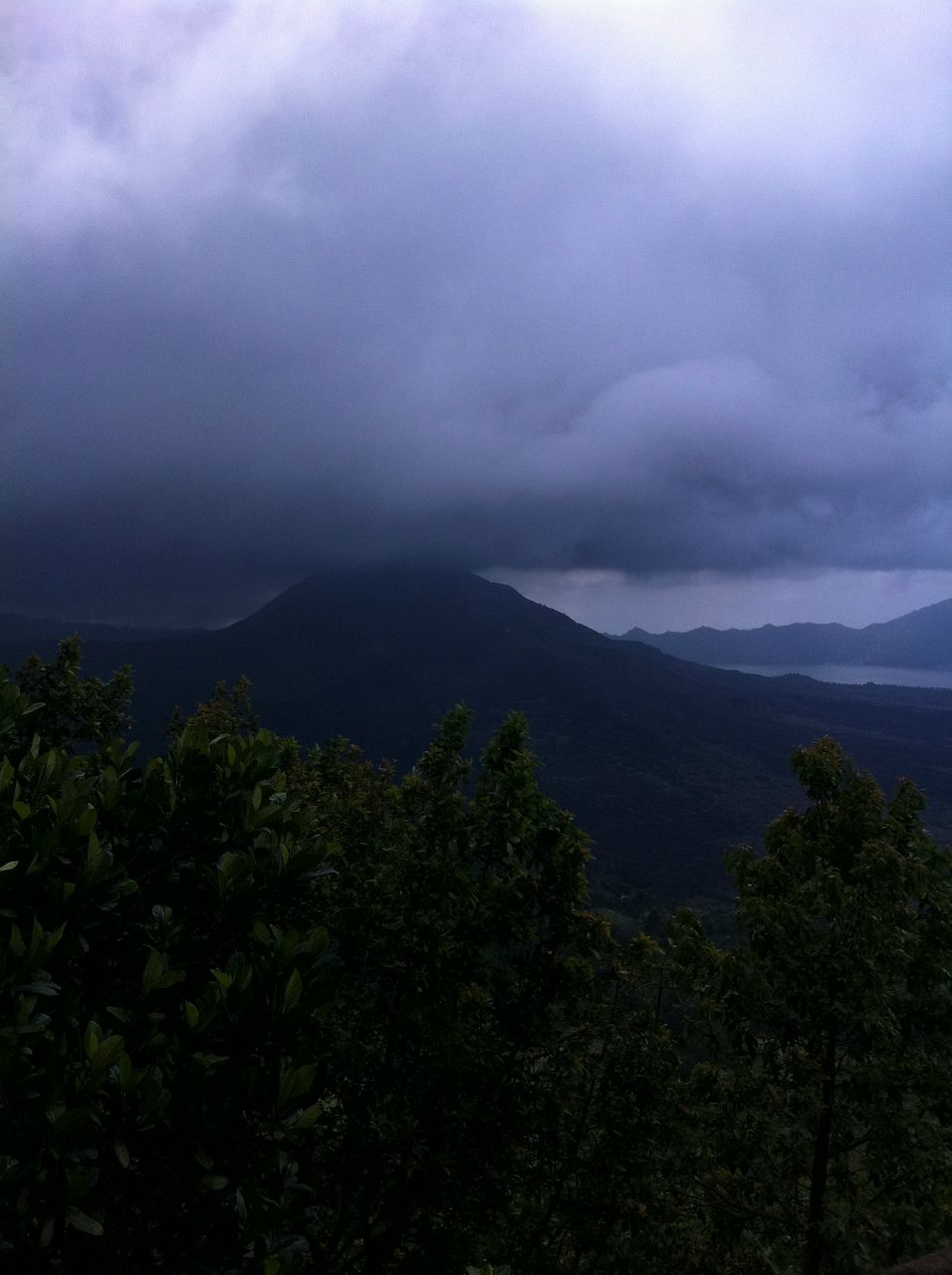 Мария Тарковская Сергеевна | Новосибирск
