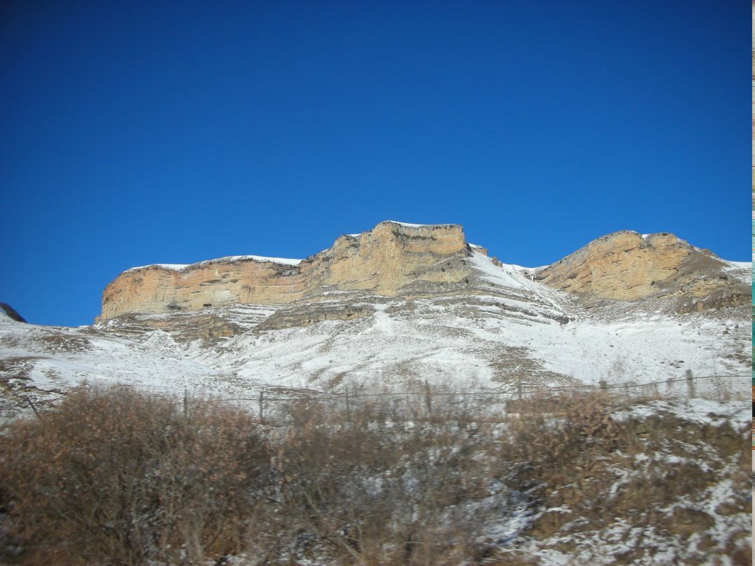 Виктория Троц | Ростов-на-Дону