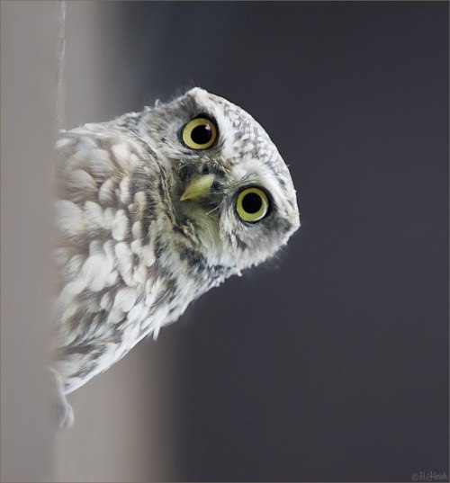 Саша Astero | Санкт-Петербург