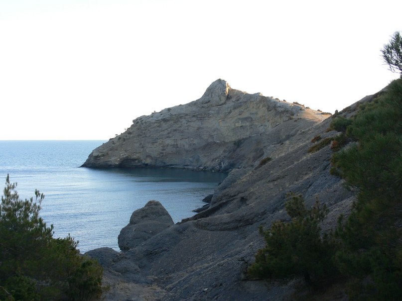 Маришка Решетняк | Черновцы