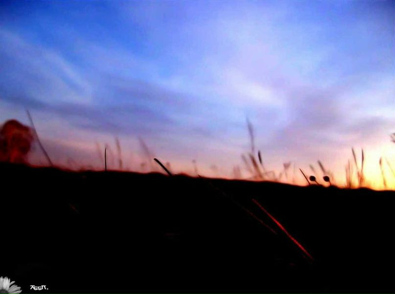 Илья Долгов | Косиха