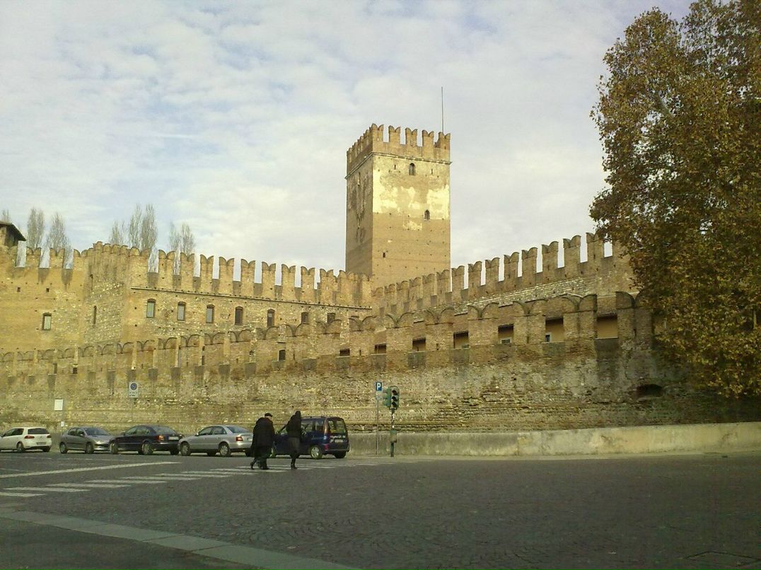 Денис Синицын | Bologna
