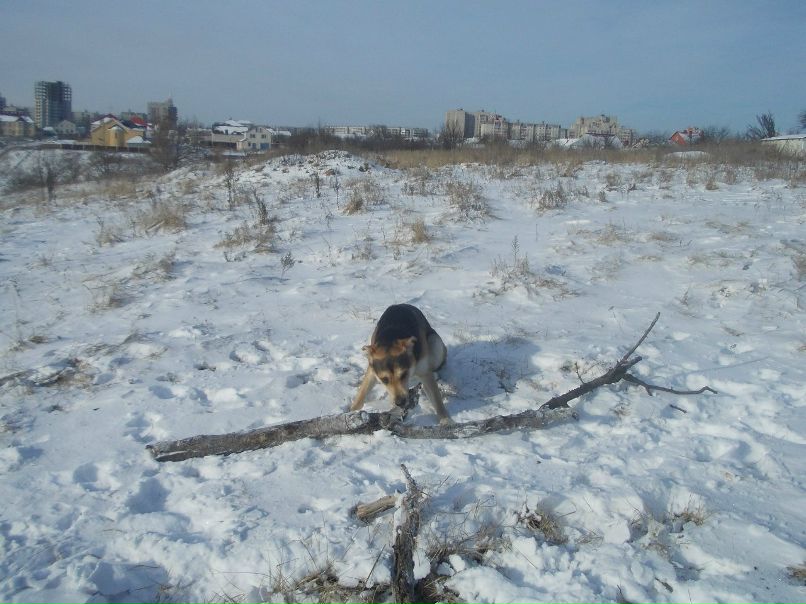 Марина Алексеева | Липецк