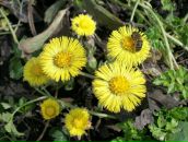 №15, Екатерина Кузнецова, 22.11, Ижевск, Россия