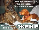Фотография Герасимчика Максима