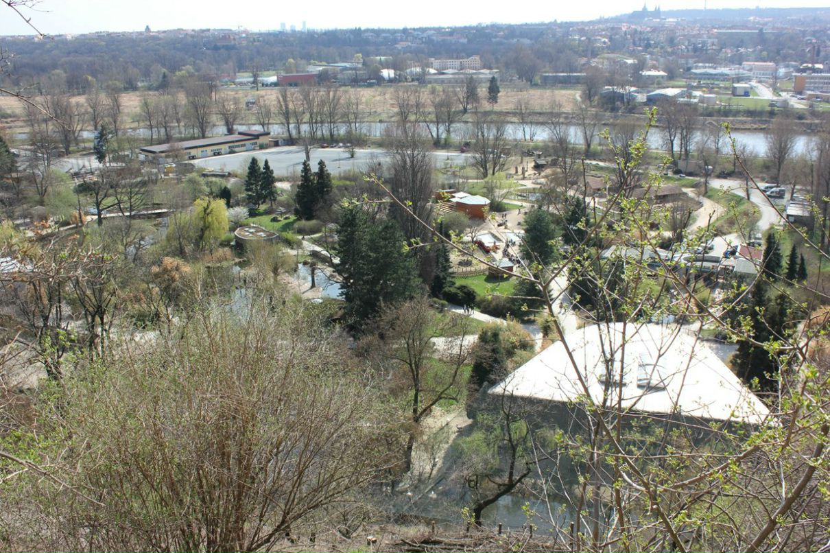 Кирилл Смирнов | Санкт-Петербург