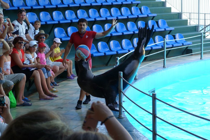 Ольга Шильцова Петровна | Таганрог
