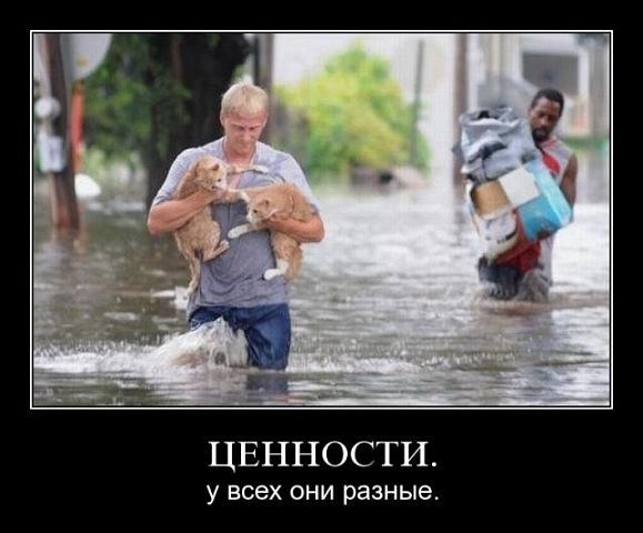 Надежда Ляхова | Белгород