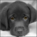 №4 Алексей Сильницкий 16.07: профиль, фото, статус - ВКонтакте №4 Алексей Сильницкий 16.07: профиль, фото, статус - ВКонтакте