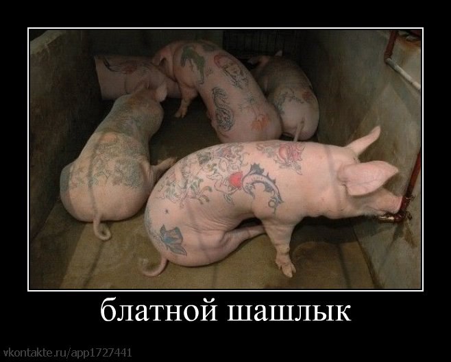 Леонид Писарев | Тольятти