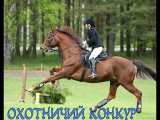 Охотничий конкур. Открытые областные соревнования по конному спорту КСК “Адмирал“. Аэросъемка