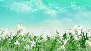 Prairie Song with Charming Sounds from Morin Khuur Instrument - Romantic Music for Relaxation