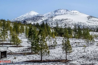 Держатель фильтров для объектива Samyang 14mm 2.8