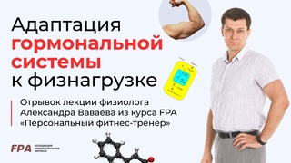Адаптация гормональной системы к физической нагрузке | Ассоциация Профессионалов Фитнеса (FPA)