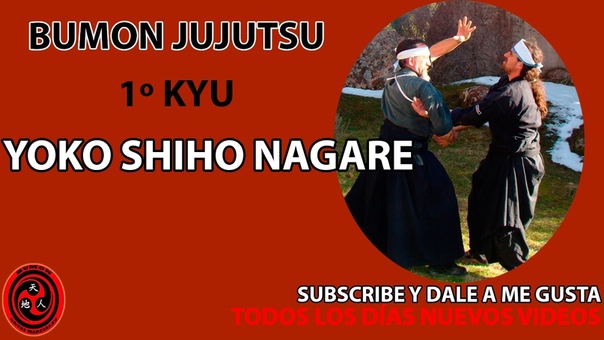 1 kyu jujutsu yoko shiho nagare, jiujitsu, ninpo, taijutsu,