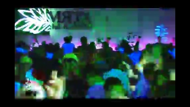 Мята Новый клубный