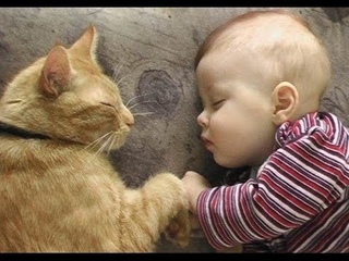 “Cats Love Babies Compilation - PART 2“ || CFS