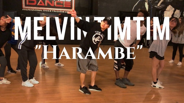 Harambe Dumbfoundead , Chapkis Dance, Melvin