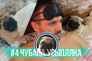 #4 Чубака-усыпляка / Мопс способствует здоровому сну