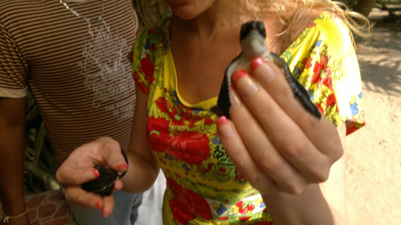 Николай Осадчий | Краснодар