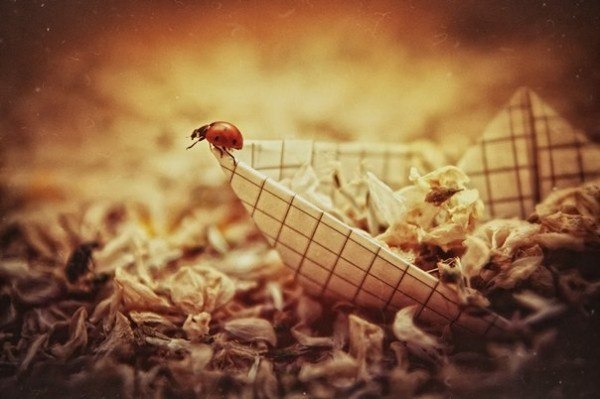 Ринат Сафин | Красноярск