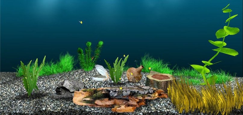 Наташа Петрова | Донецк