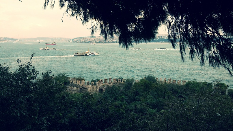 Марина Князева | Запорожье