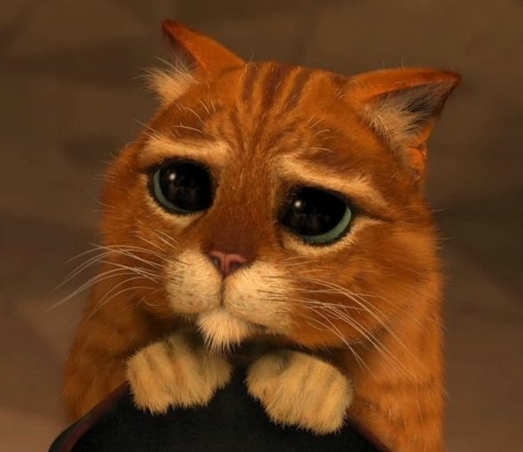 Роман Мельников | Волгоград