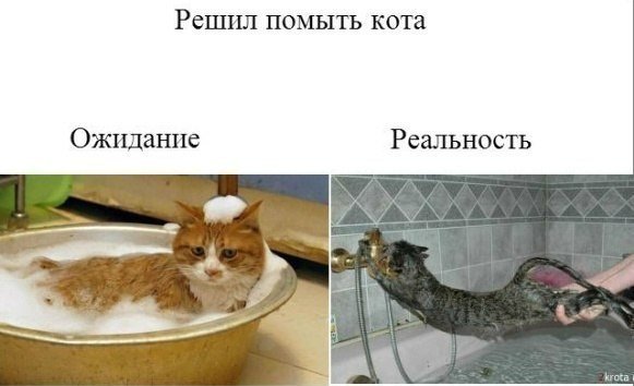 Екатерина Стрельникова | Днепр (Днепропетровск)