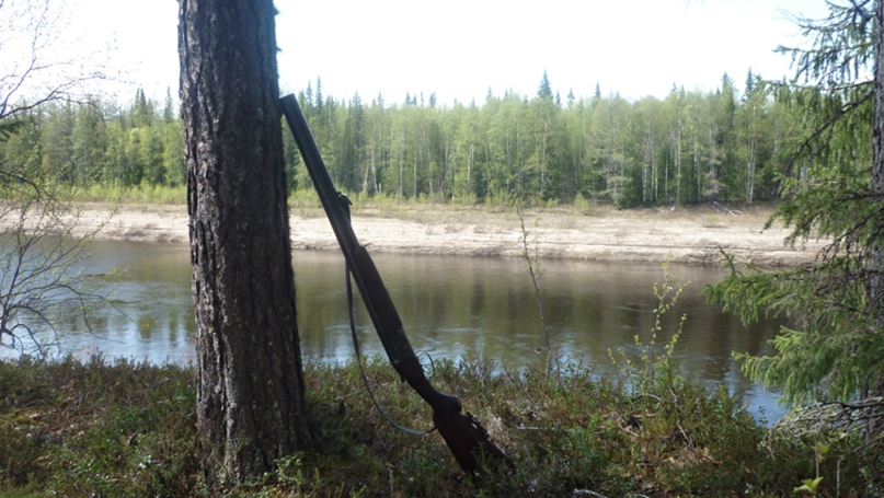 Сергей Туманов | Печора