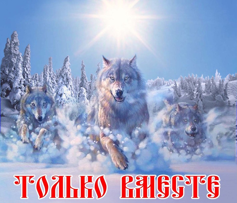 Сергей Мироненко | Омск